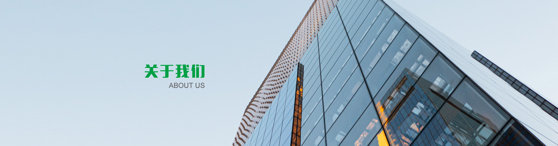 浙江金蛹科技有限公司